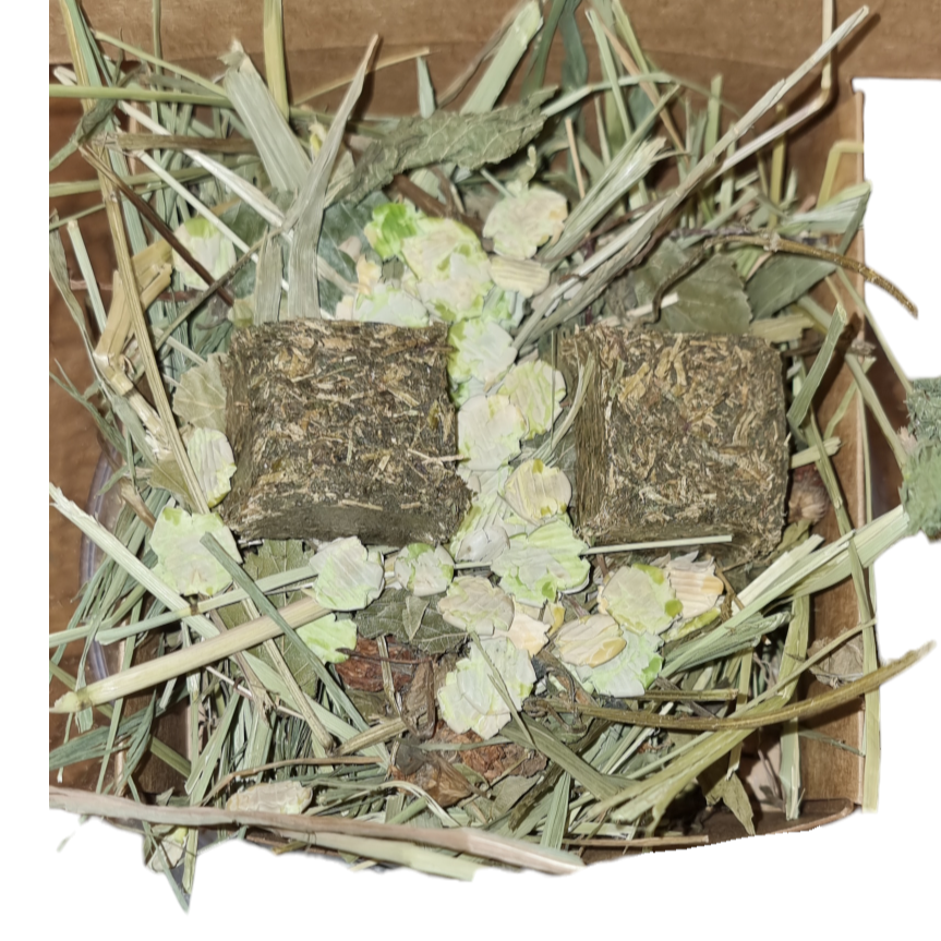 Nettle Forage Box