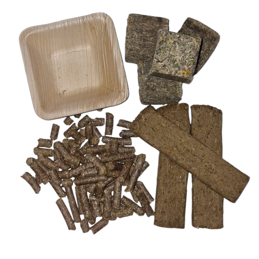 Snack Pack