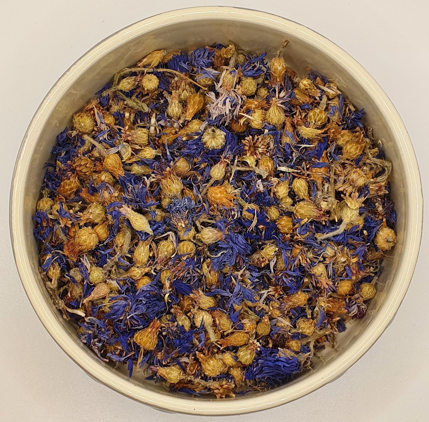Blue Cornflower