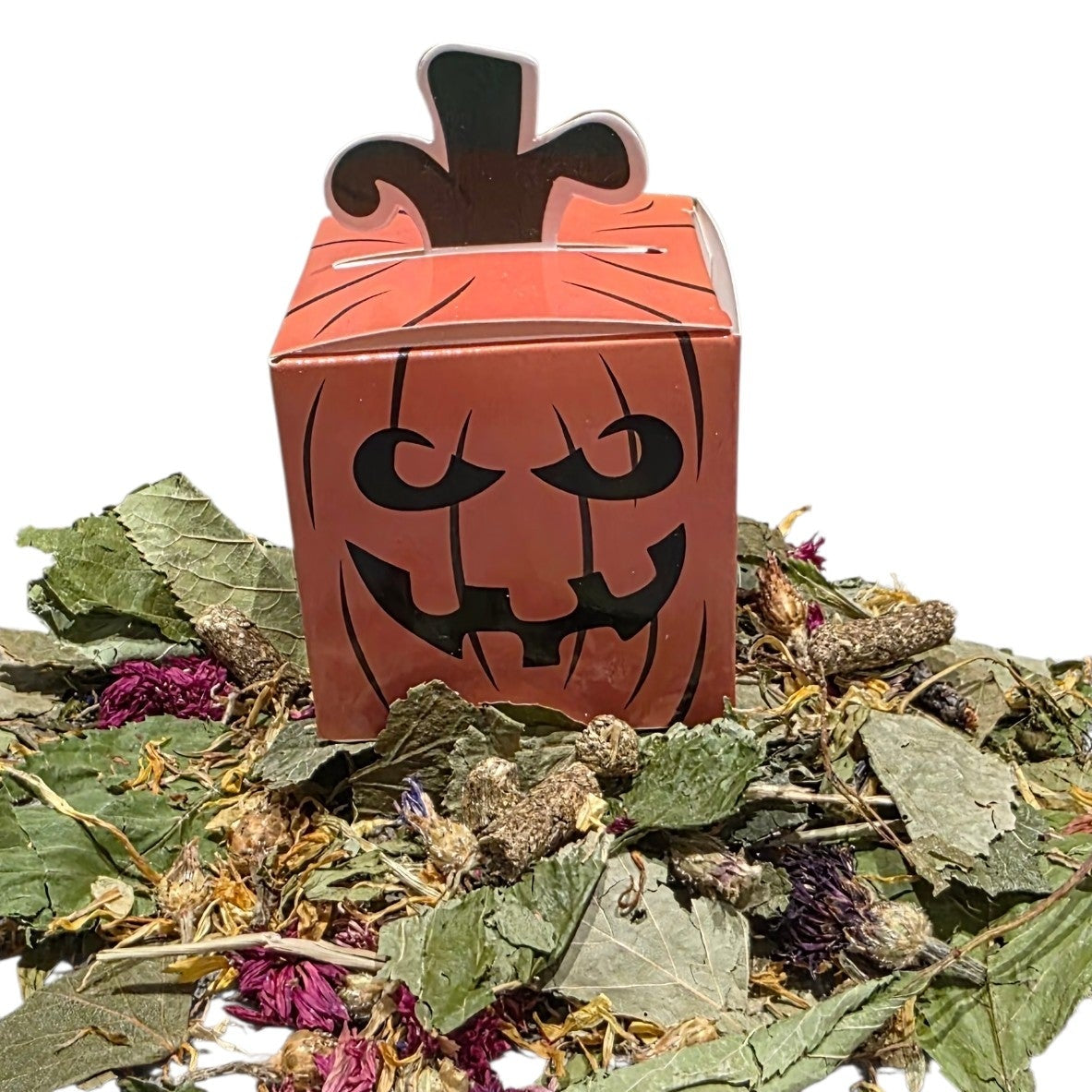 Pumpkin Patch Picnic