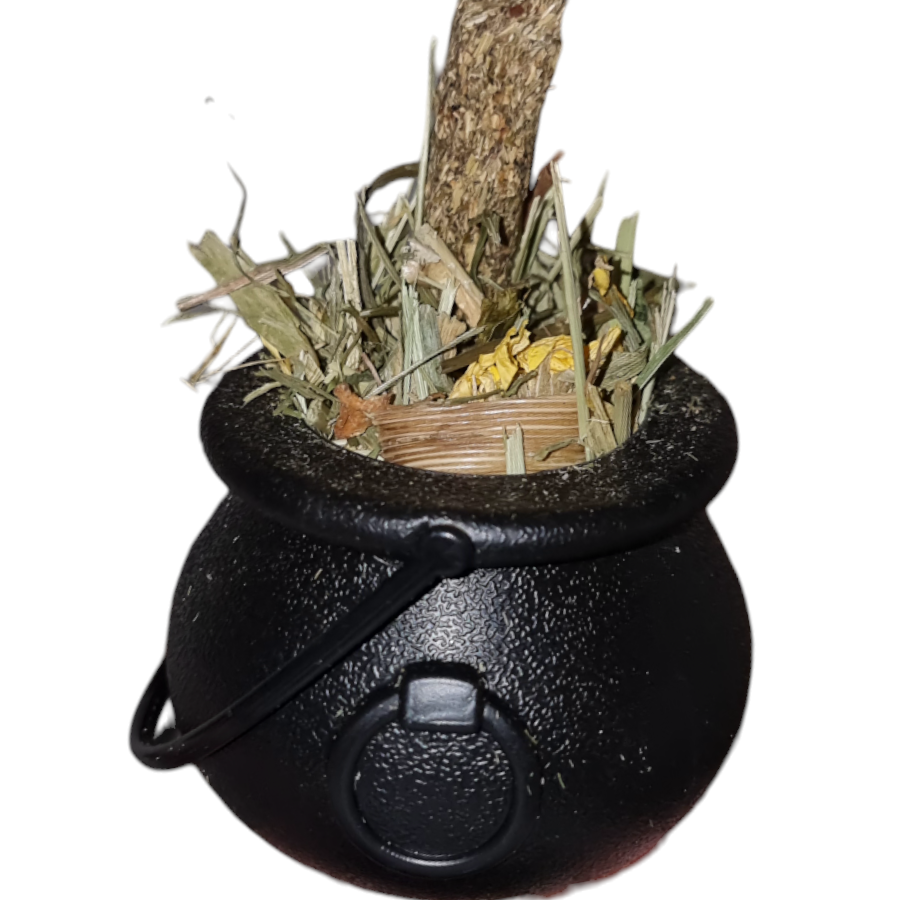 Witches Cauldron