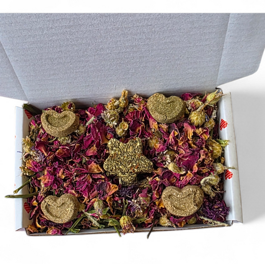 Little Loves Forage Box