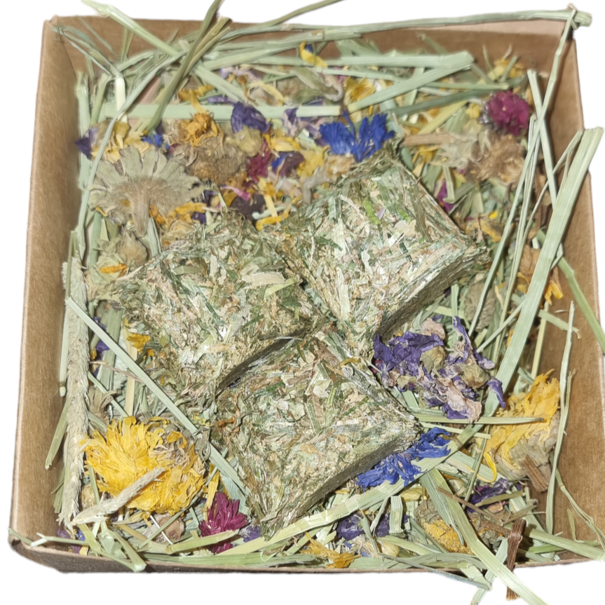 Forage Subscription Box Flower Forage Box – The Natural Bunny company