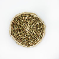 Seagrass and Vine Disk
