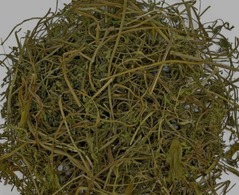 Carrot Top Green